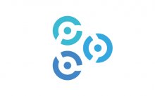 Networking Logo image