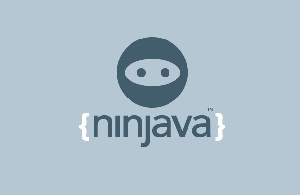 Ninjava image