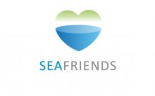 Sea Friends image