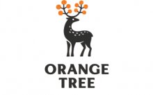 Orange Tree image
