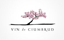 Vin de Ciumbrud (Wine of Ciumbrud) image