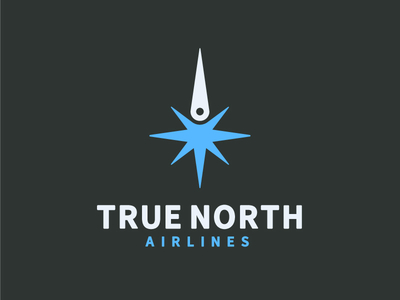 True North Airlines image