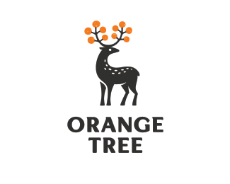 Orange Tree image